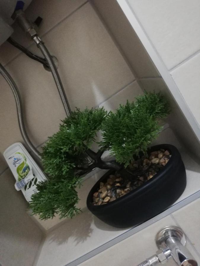 Studio Apartman Noa Fiume Kültér fotó